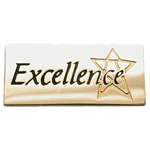 Excellence Award - Gold